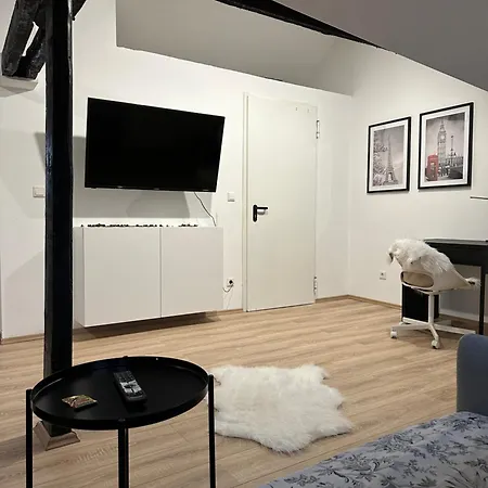 Modernes Loft Am Dreilaendereck Appartement *