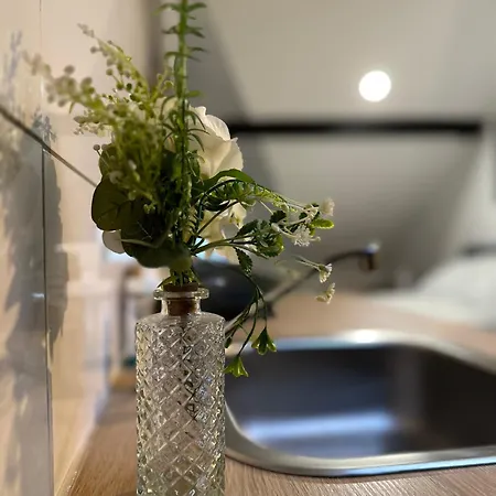 Apartment Modernes Loft Am Dreilaendereck