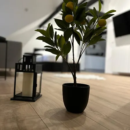 Modernes Loft Am Dreilaendereck *