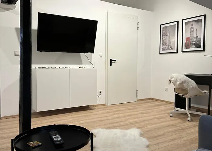 Modernes Loft Am Dreilaendereck Appartement *