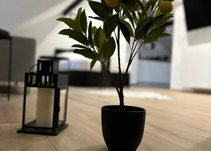 Modernes Loft Am Dreilaendereck *